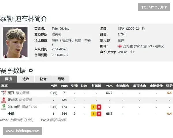 泰晤士报道埃弗顿2700万镑报价迪布林遭拒 计划提高报价争夺 泰晤士报道埃弗顿2700万镑报价迪布林遭拒 计划提高报价争夺